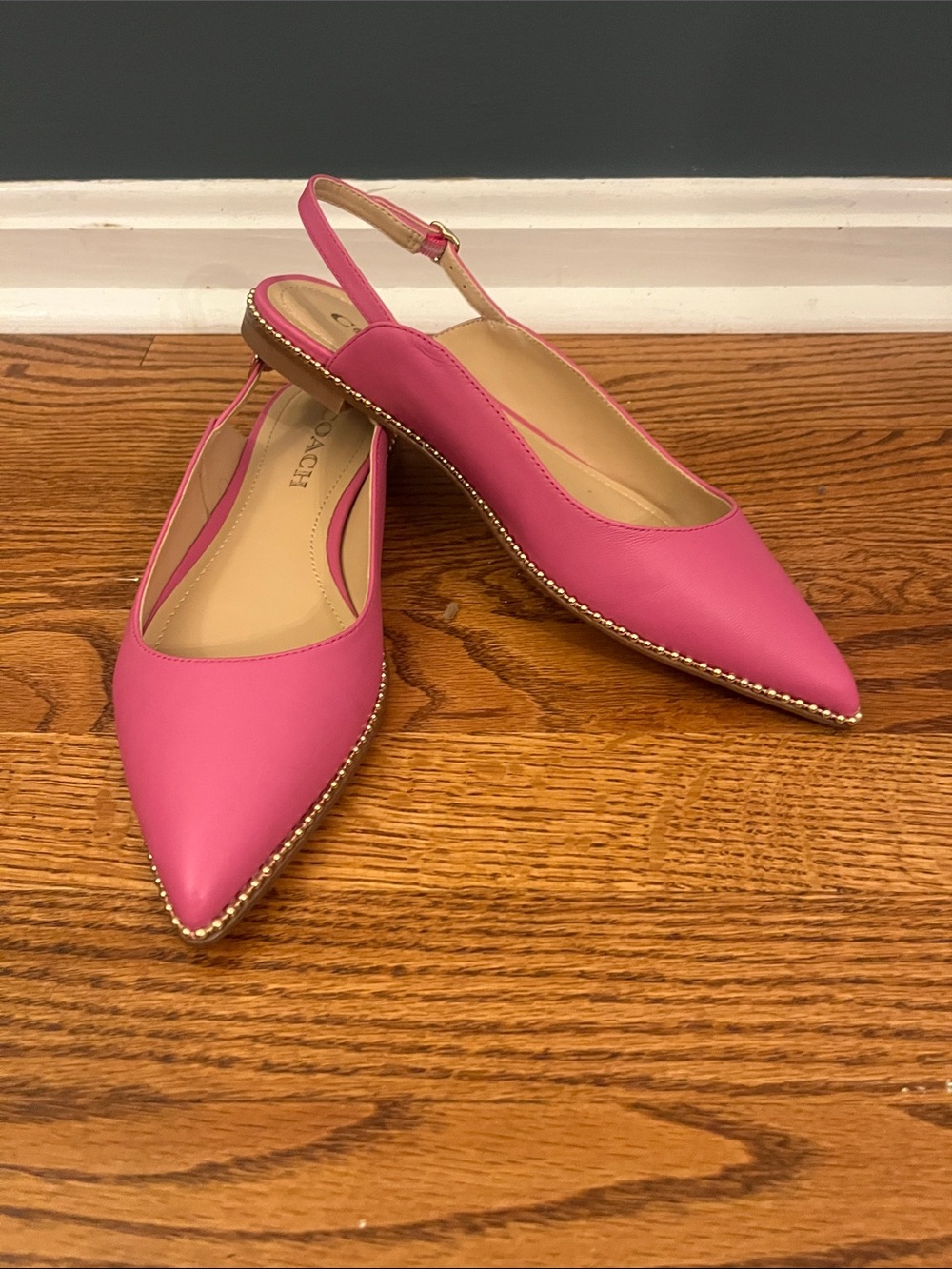 Coach Women's Vae Skimmer slingback in pink
